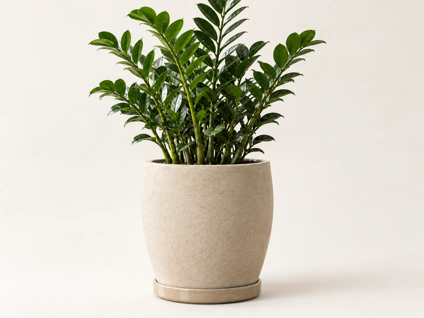 Arda Ceramic Planter - Image 3